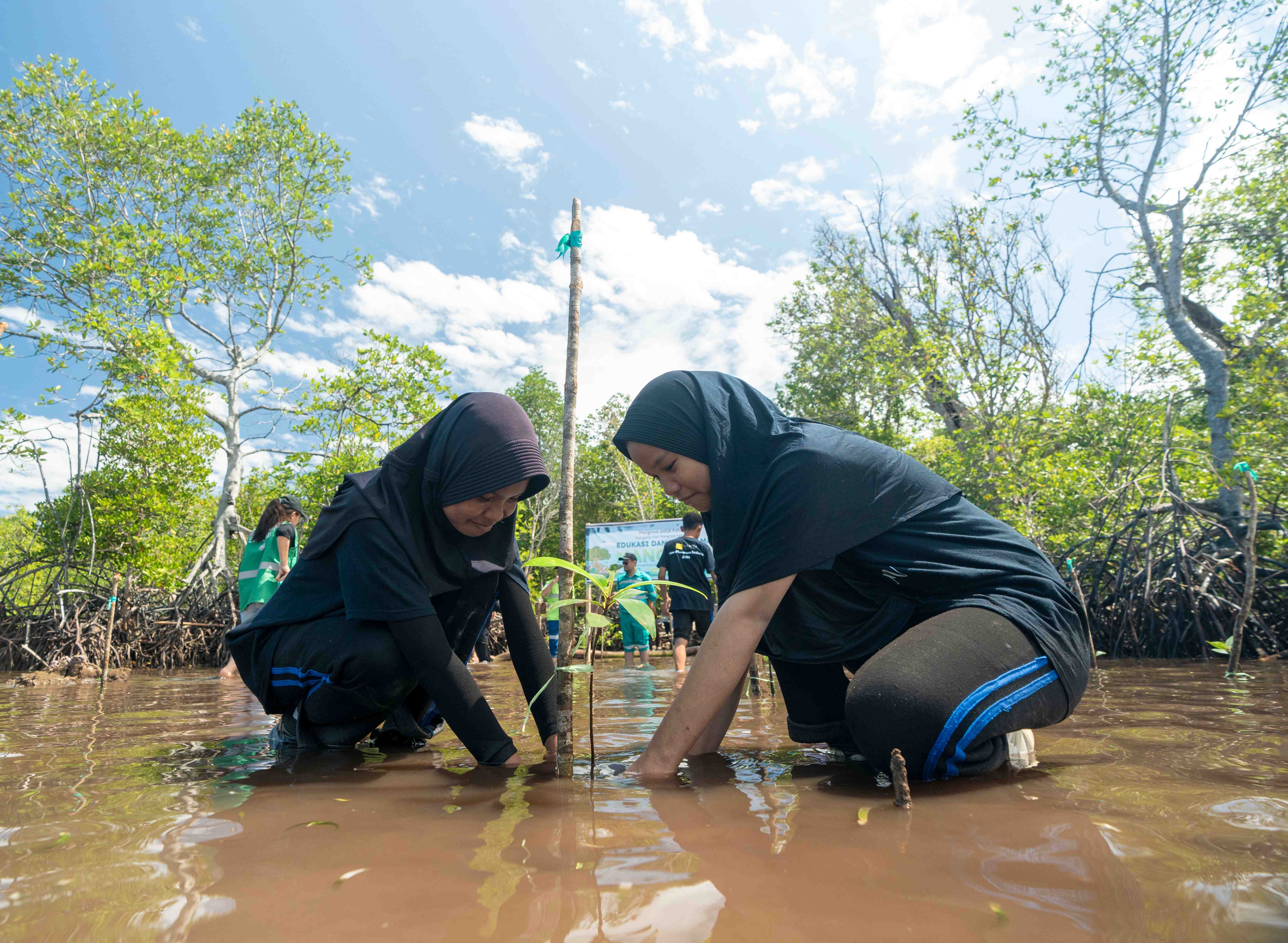 C1 hari mangrove sedunia soligi